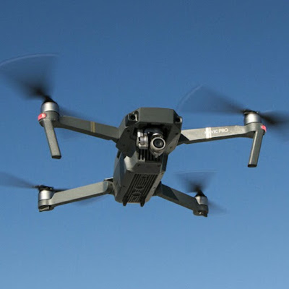 Meet your Posher, Leonardo